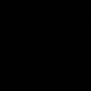 Meet your Posher, Travis